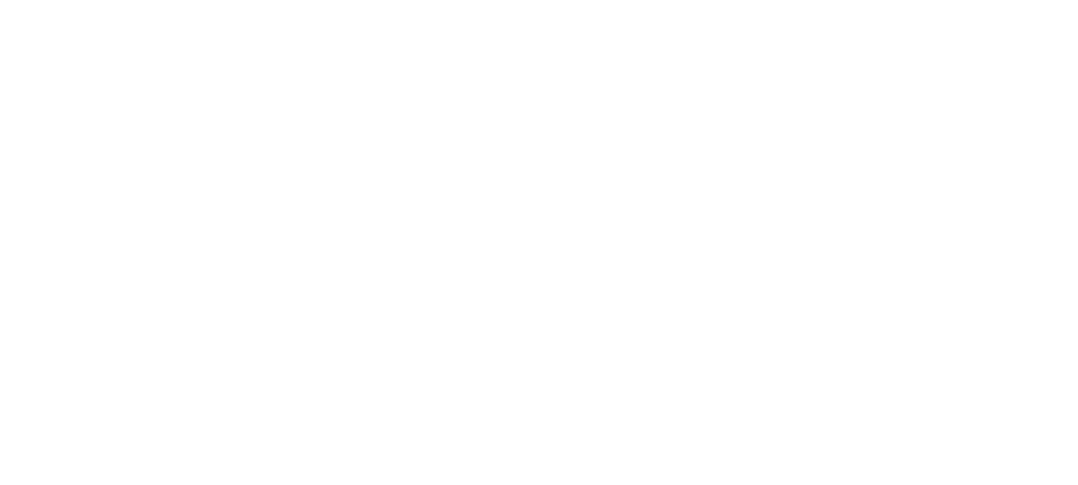 The Boy & the Rose